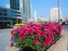 Queens Quay and Yonge